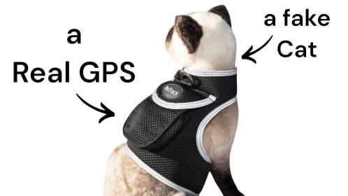 Realtime Collar Mount GPS Pet Waterproof Rechargeable Tracking Device Size:M