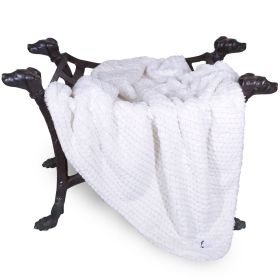 Paris Dog Blankets (Color: Ivory, size: LG)